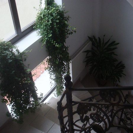 Villa Edera Residence - Gazda Profesionista Bucharest Exterior photo